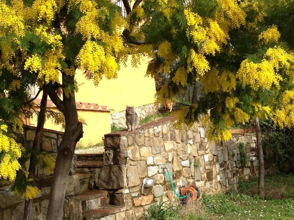 Il Casalone Villa Impruneta Exterior foto