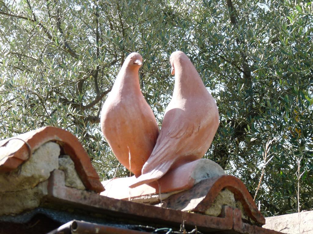 Il Casalone Villa Impruneta Exterior foto